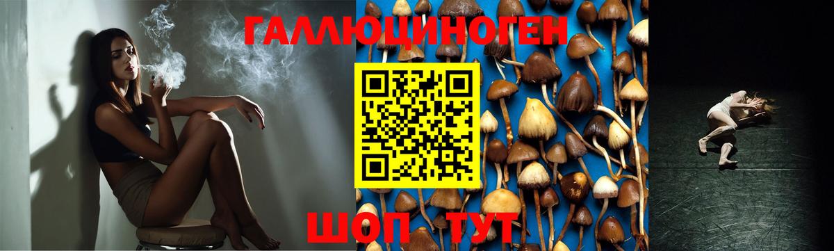 Псилоцибиновые грибы мухоморы Кандалакша